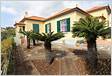 372 Casas para Venda, Moradias no Funchal